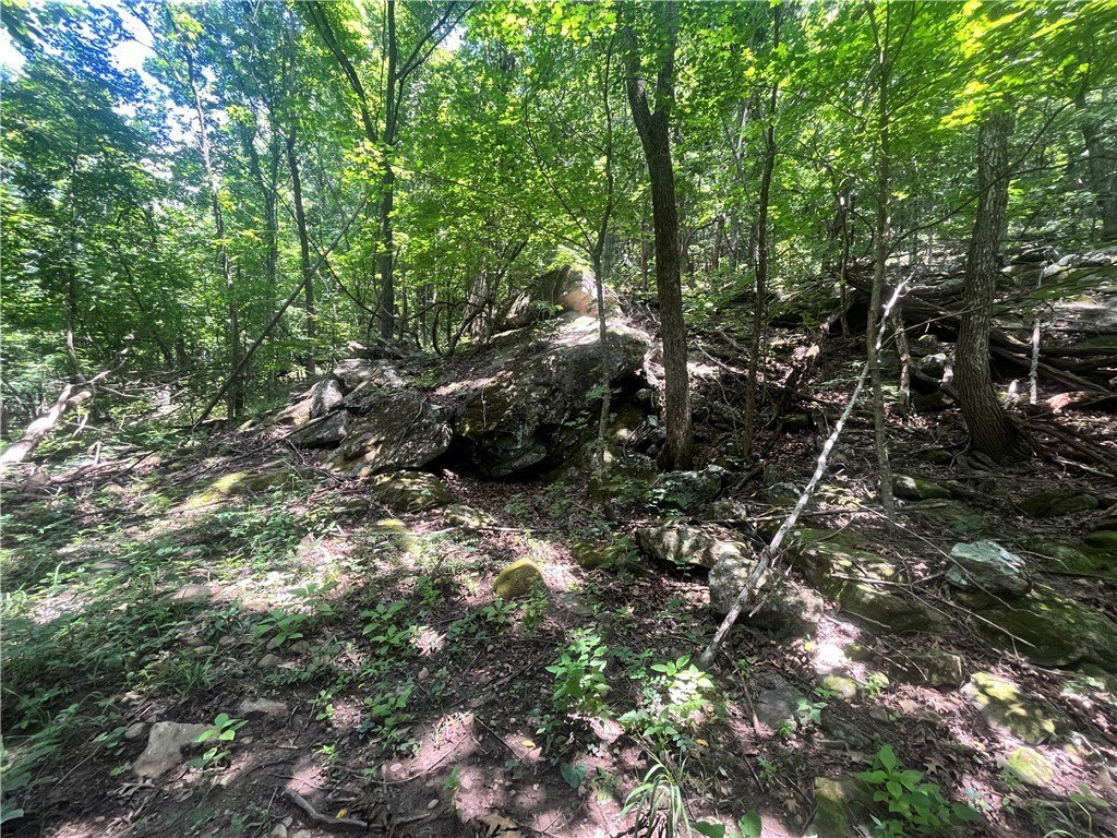 Picture 26