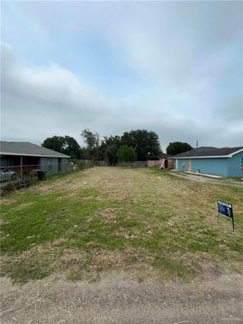 LAND - Donna, TX