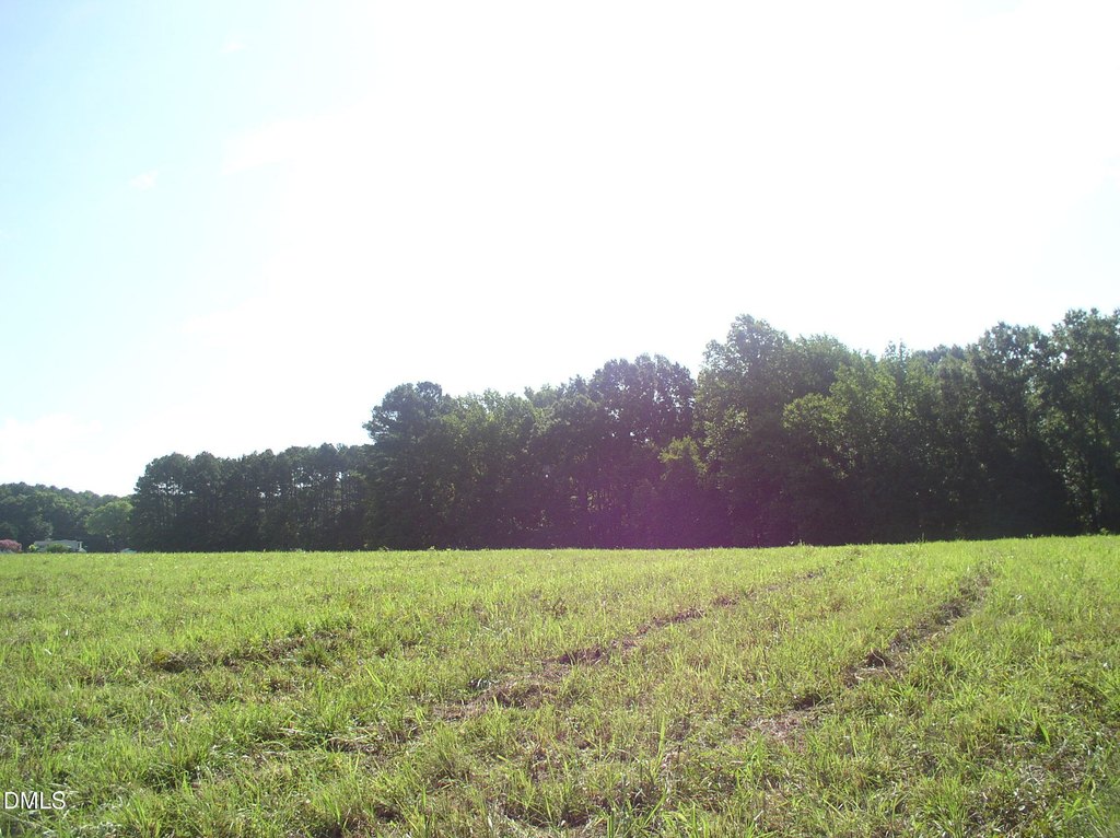 Picture 13