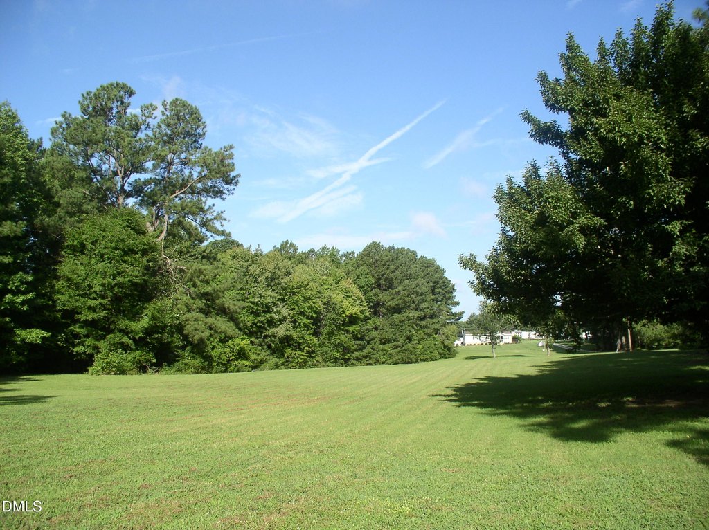 Picture 32