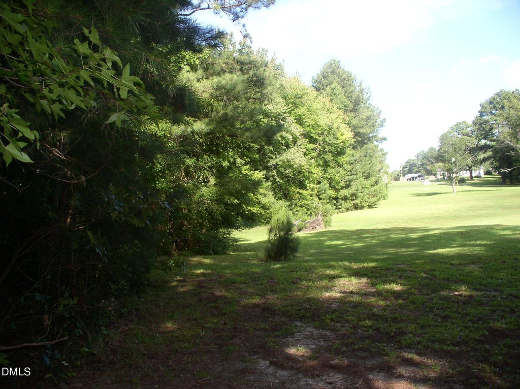 Picture 16