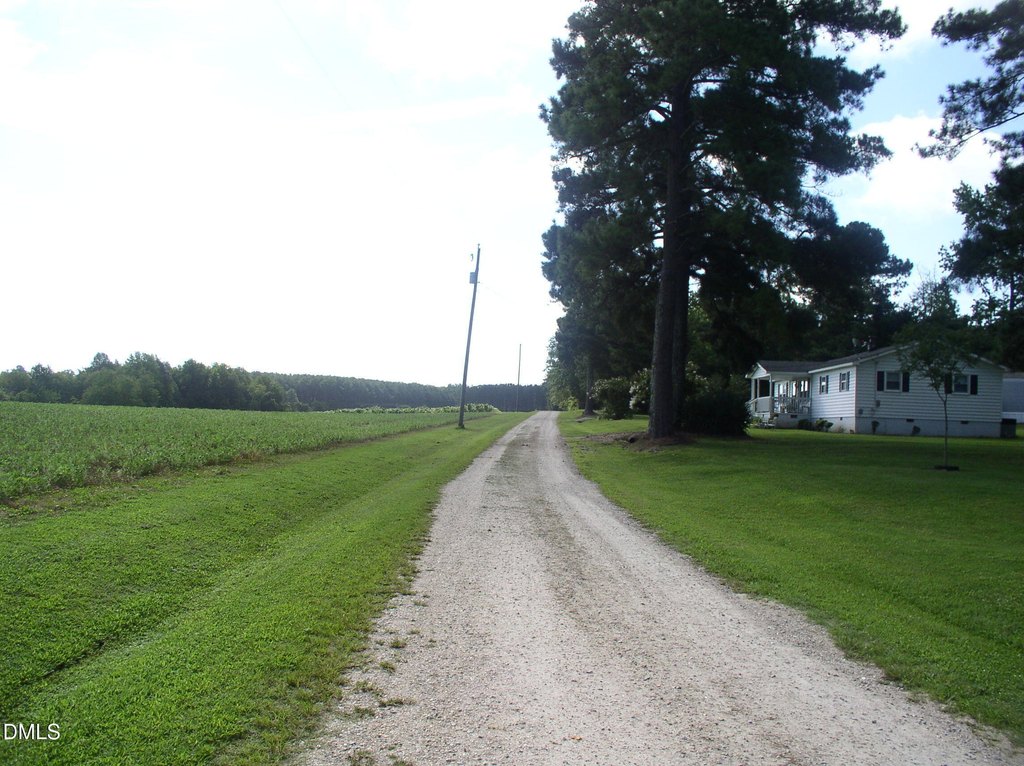 Picture 20