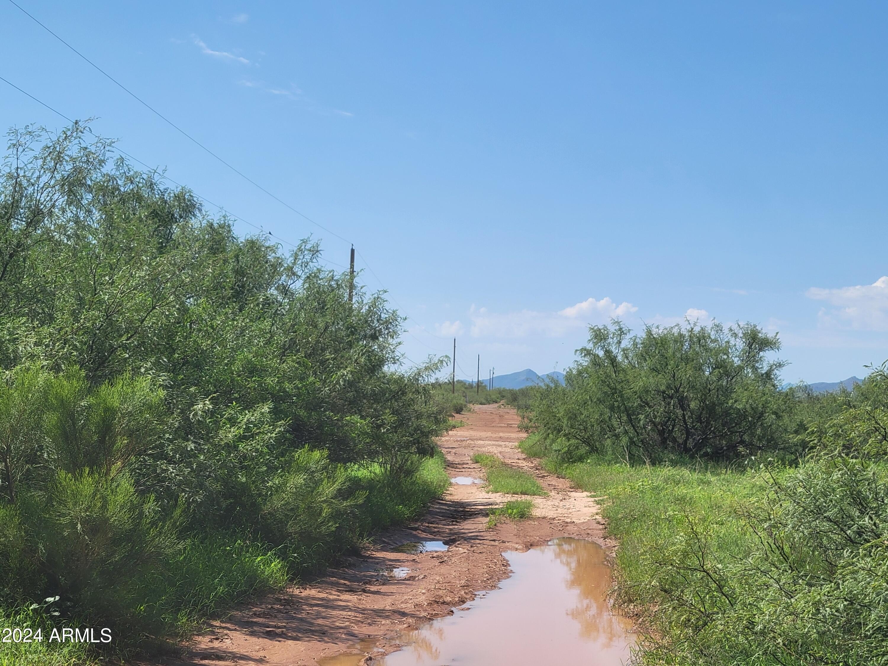 70+ Acres in McNeal, AZ