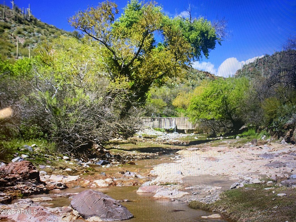 Picture 30