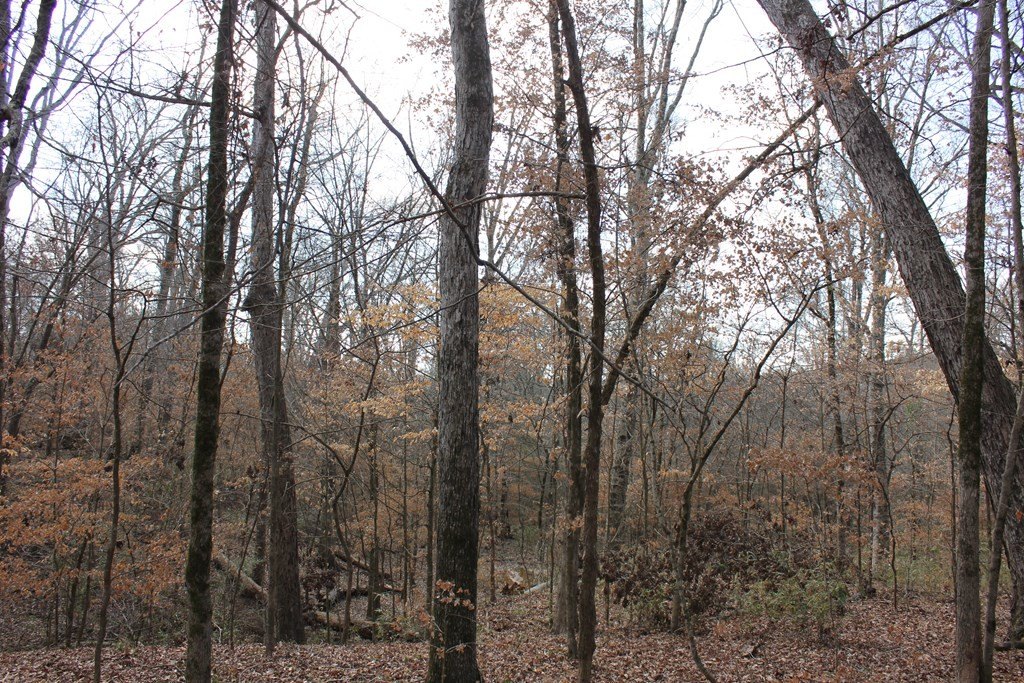 Picture 12