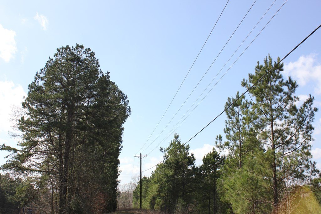 Picture 2