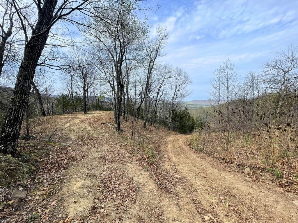 Picture 47