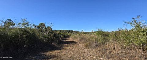 Recreational Land in Walthall County