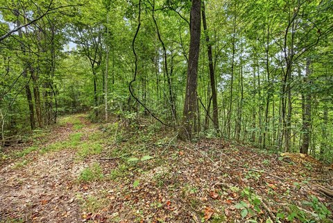 Land, Celina, TN