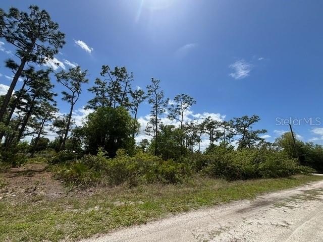 Picture 14