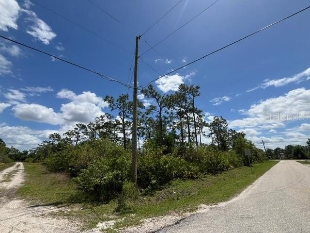 Picture 6