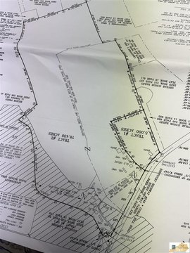 Heavily Wooded Acreage Near Glasgow