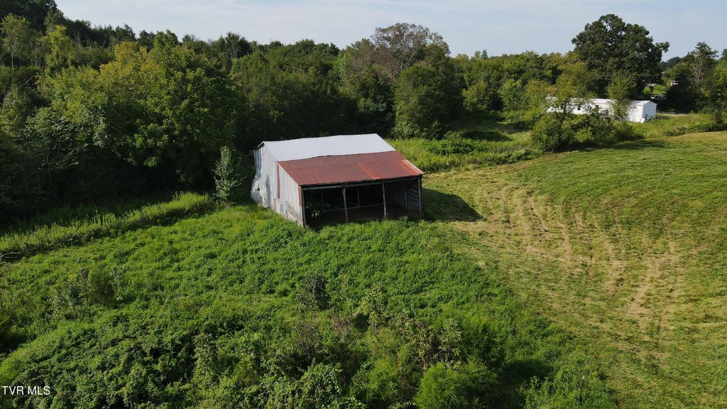 Picture 8
