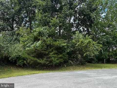 Premier Homesite in Fernbank