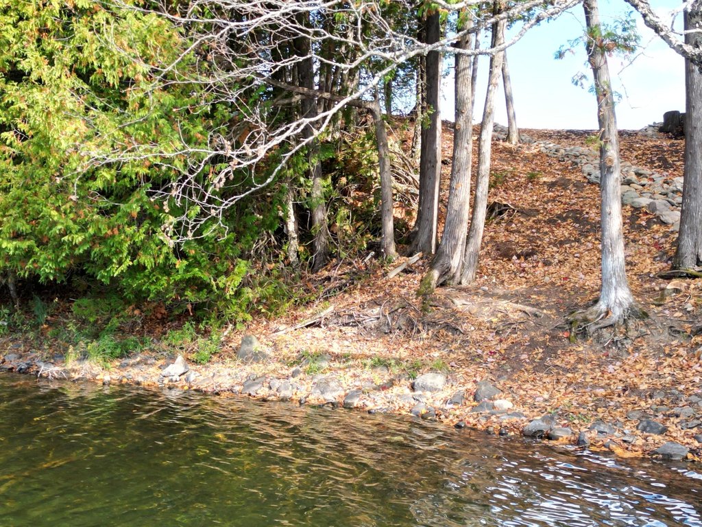 Picture 15