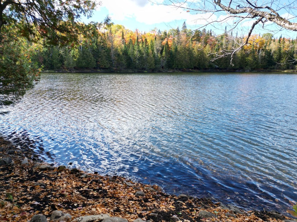 Picture 2