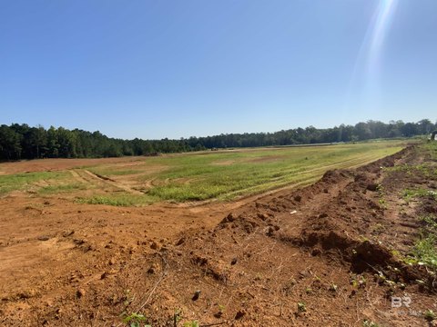 Prime Land on St Hwy 59