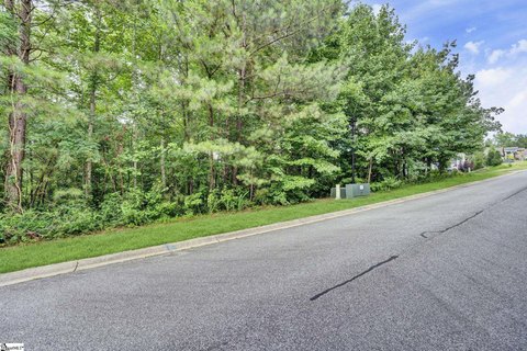 Buildable Homesite with Floodplain Portion