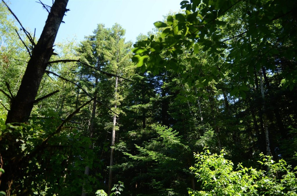 Picture 8