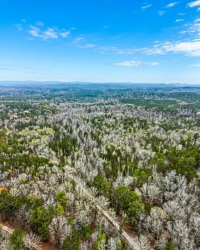 Recreational Land Tracts