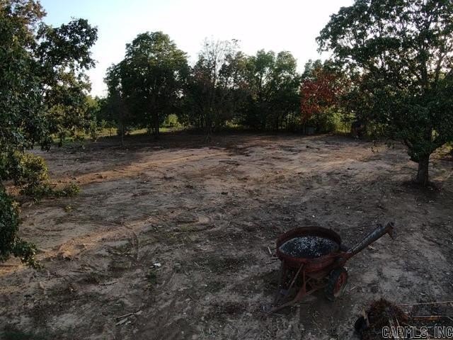 Picture 12