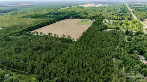 Land, Pace, FL