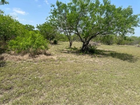 Orange Grove Country Land Opportunity