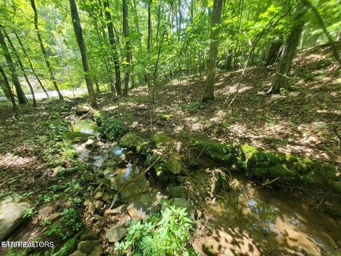 Lots & Acreage, Fairfield Glade, TN
