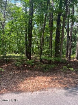 Residential Land in Beaufort, SC