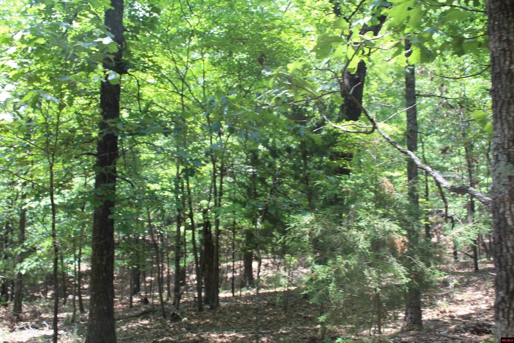 Picture 2