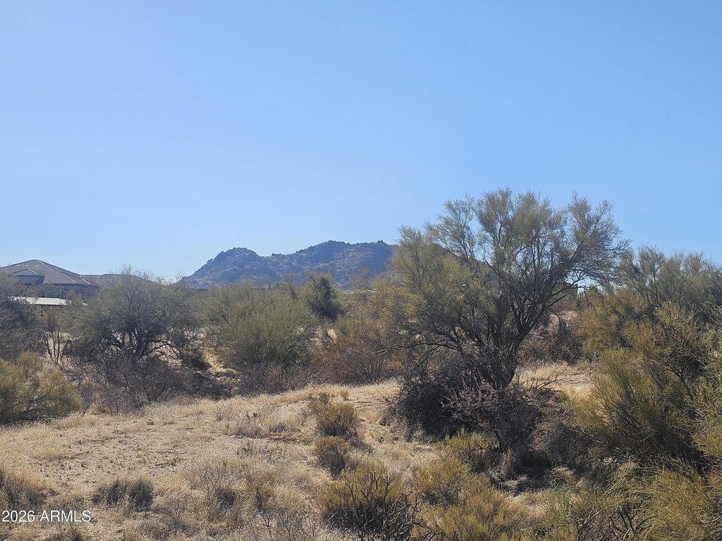 Picture 8