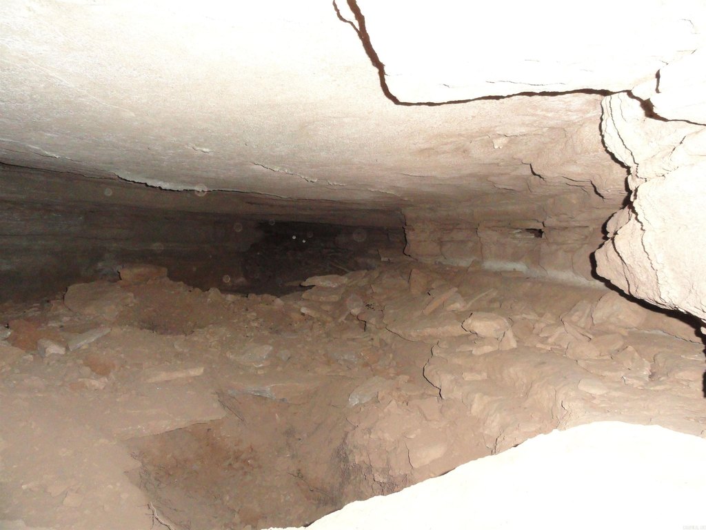Picture 36