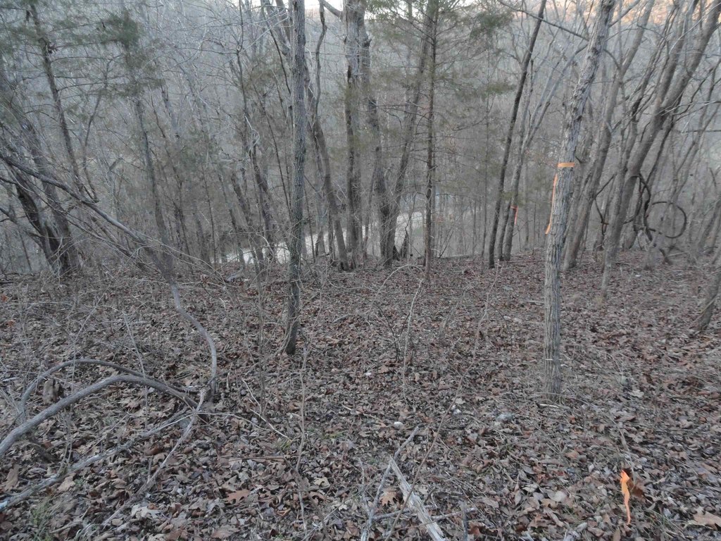 Picture 13