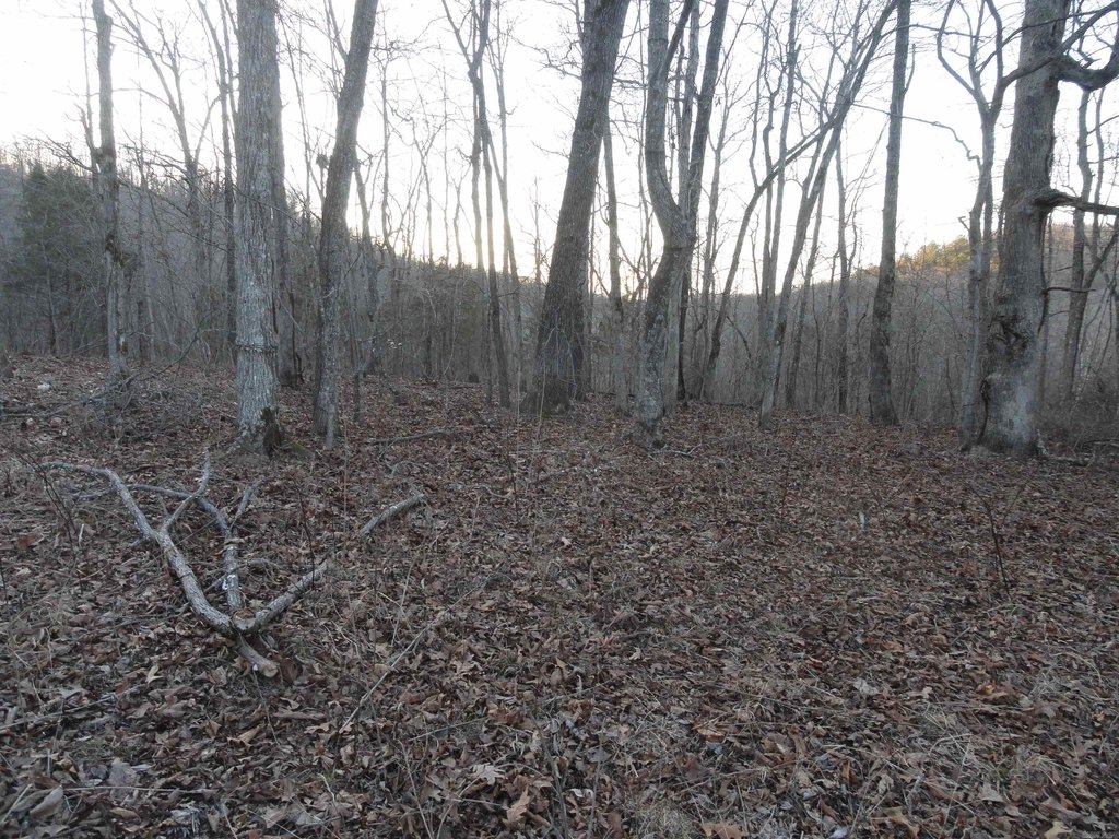 Picture 11