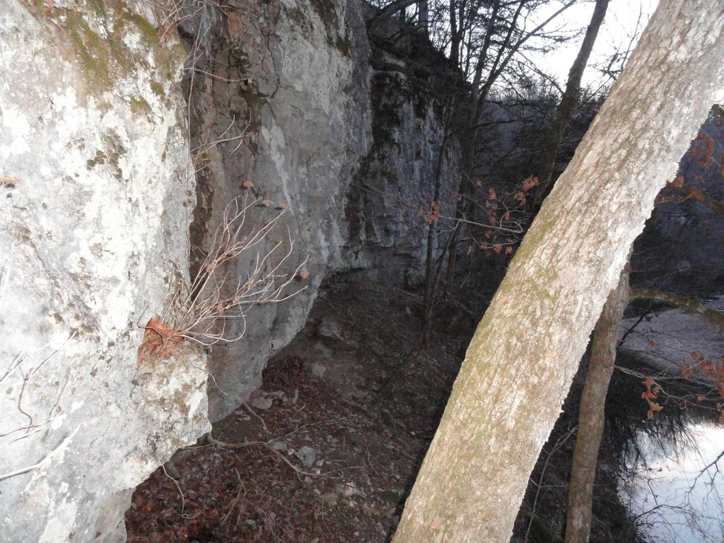 Picture 31