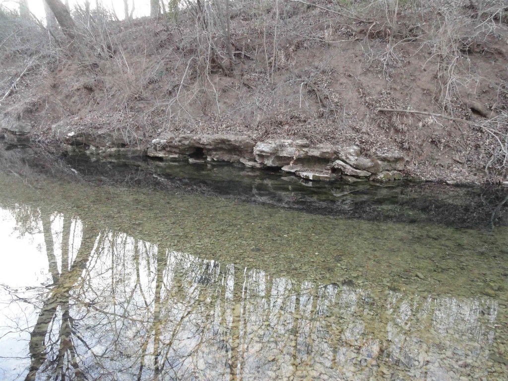 Picture 19