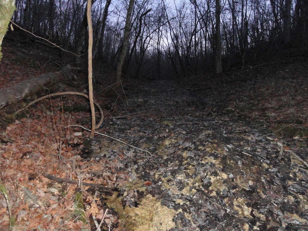 Picture 42