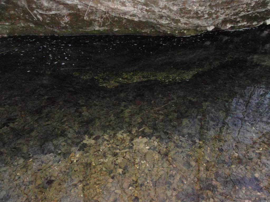 Picture 27