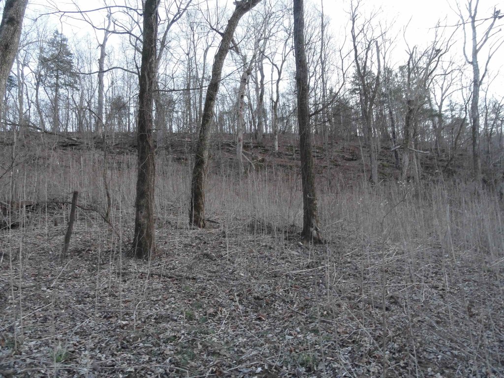 Picture 16