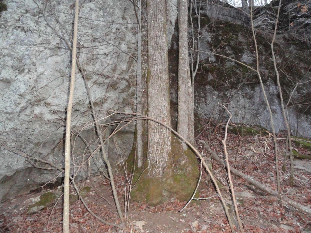 Picture 28