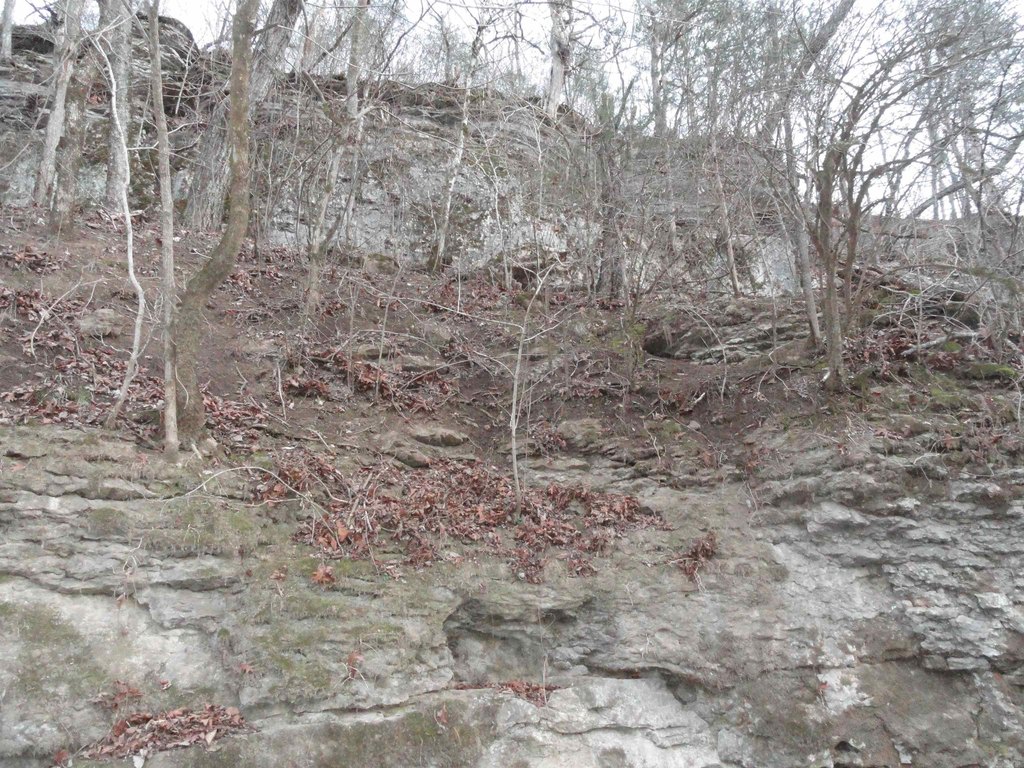 Picture 24