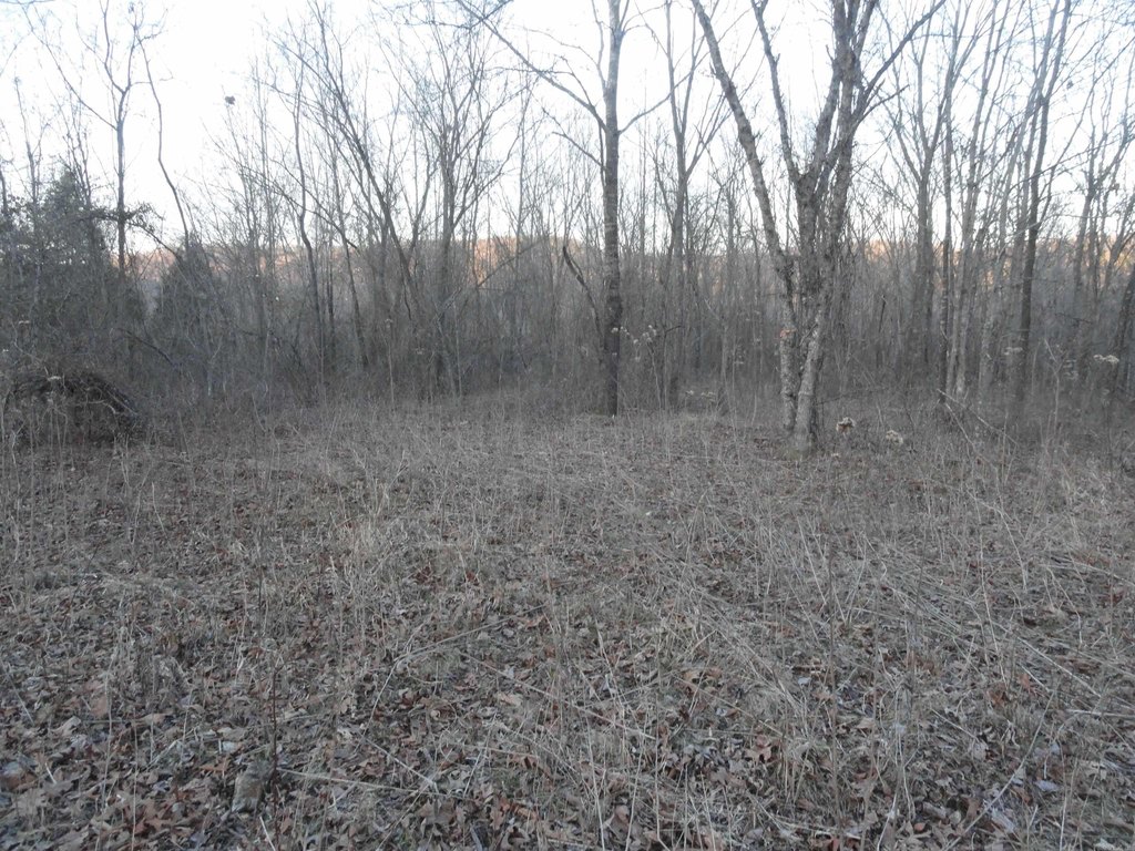 Picture 9
