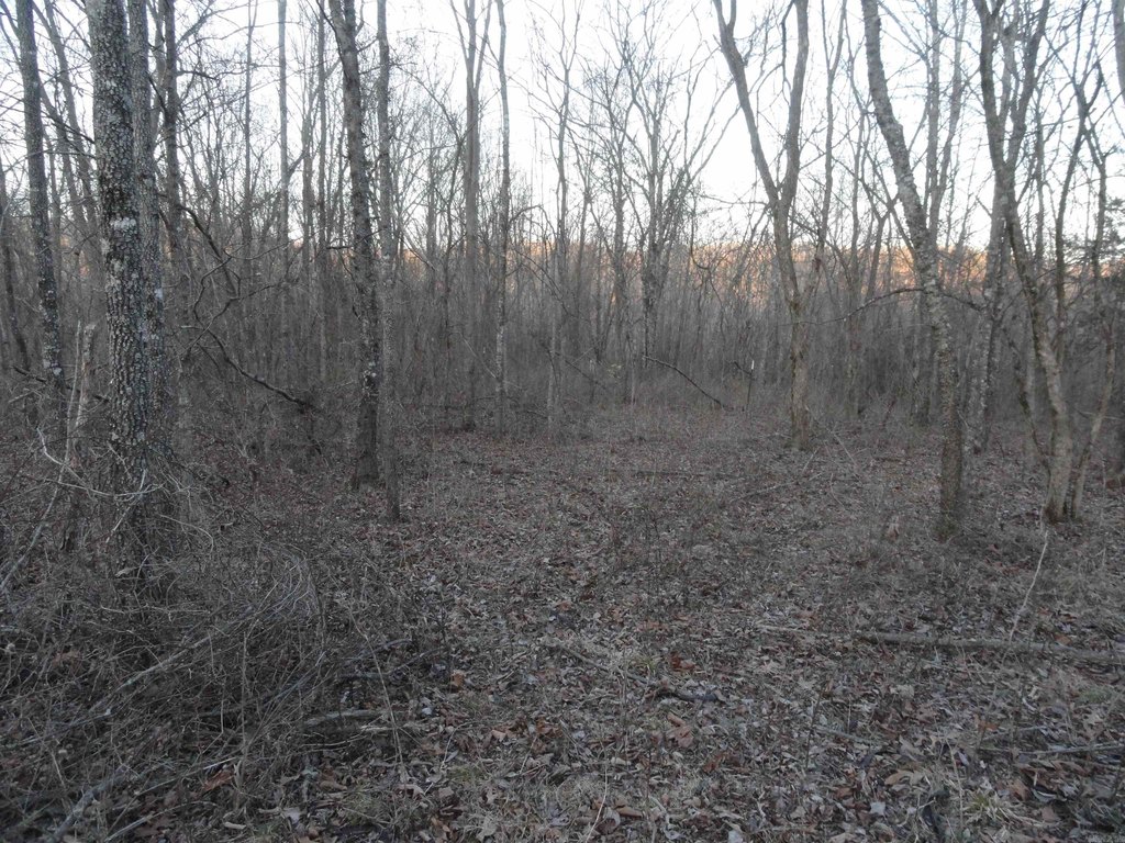 Picture 12