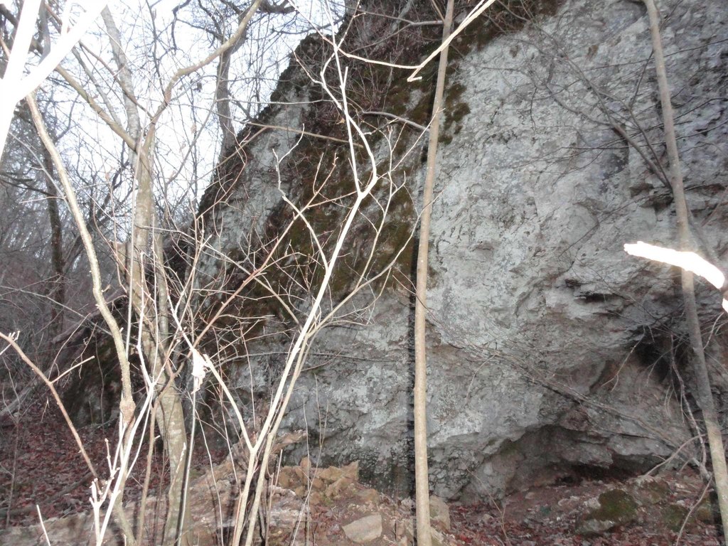 Picture 29