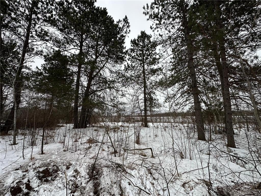 Picture 6