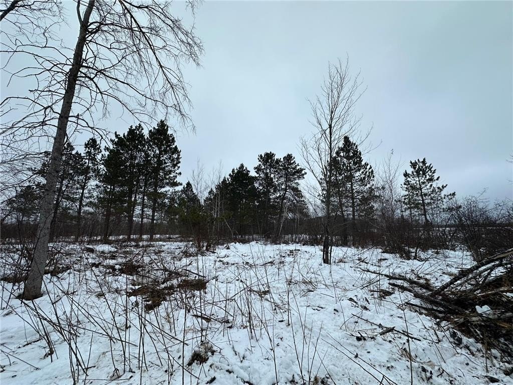 Picture 8