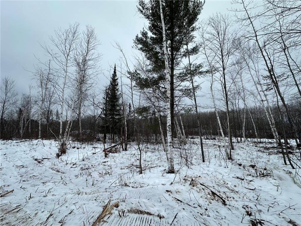 Picture 14