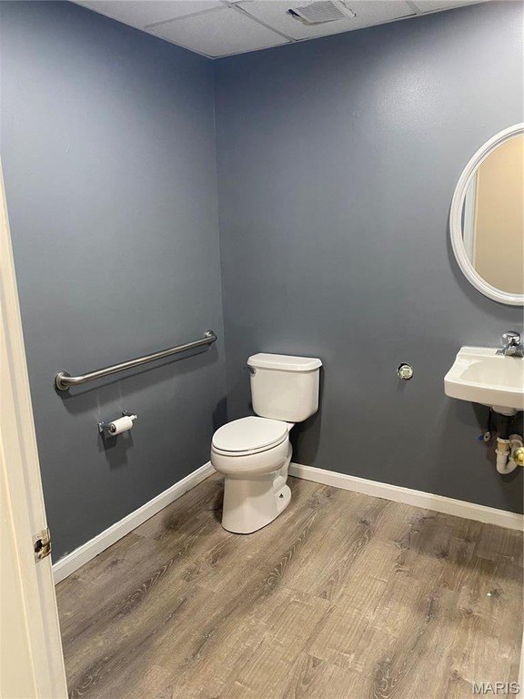 Picture 16