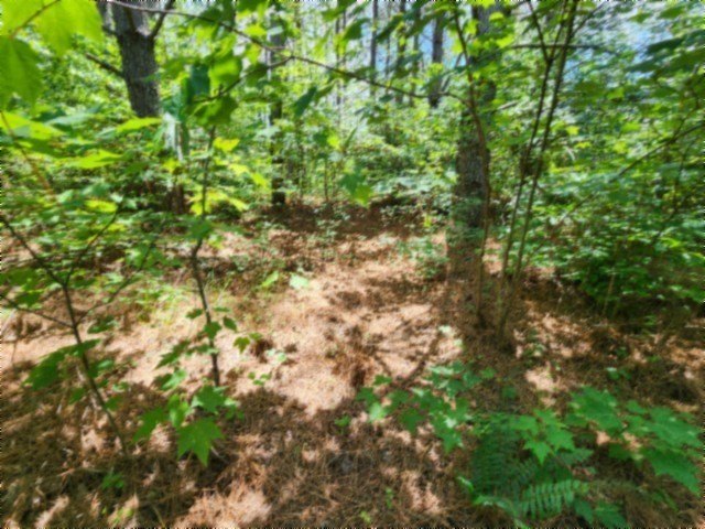 Picture 14