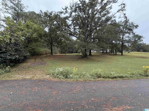 LAND/LOTS, SYLACAUGA, AL